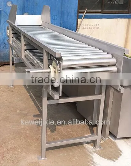 Rolling rail fruit sorting machine for fruit and vegetables