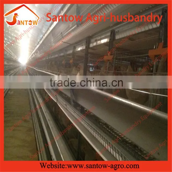 Stable Chicken Egg Layer Cage Automatic Poultry Equipment photo-3