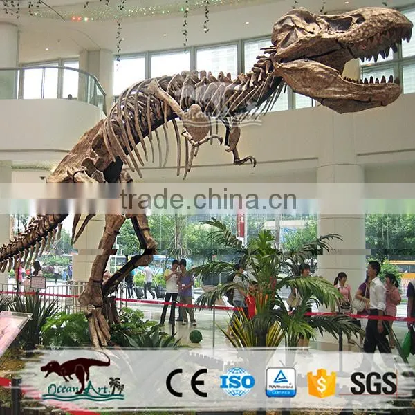 Life-Size Dinosaur Skeleton photo-5