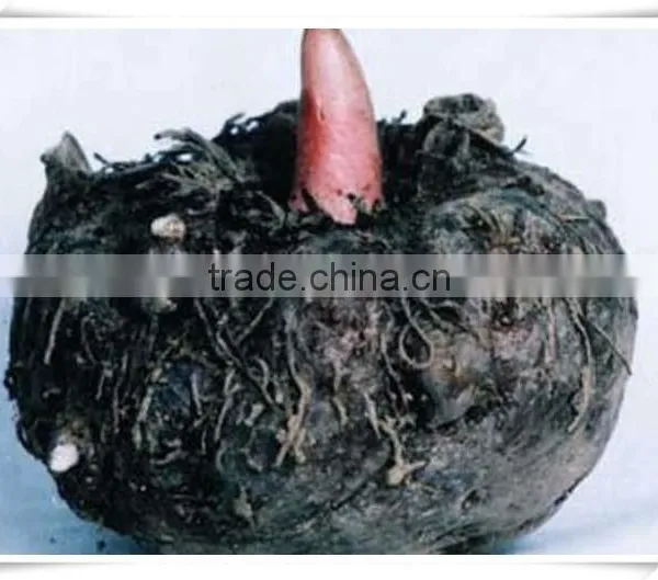 BRC Konjac Noodles photo-3