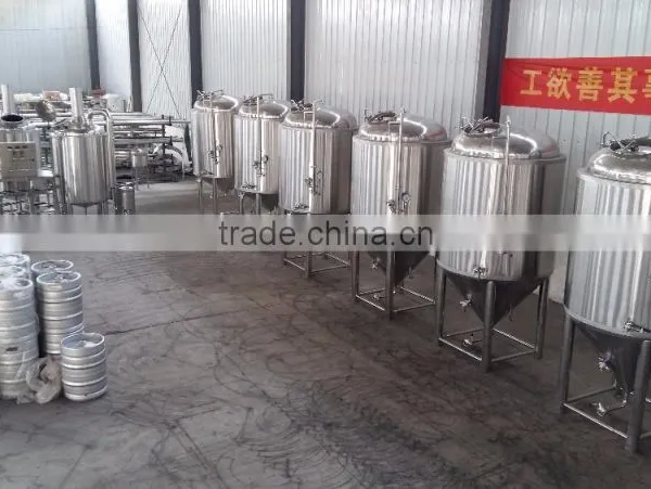 High Configuration 600L Mini Beer Brewing Equipment For Beer Making photo-3