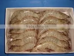Frozen Black Tiger Shrimp and Vannamei Shrimps
