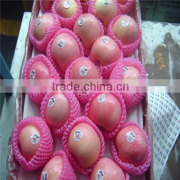 Apple Supplier From China /2016new Crop Fresh Apple photo-4