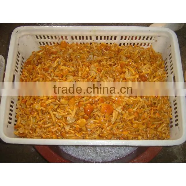 Nameko Mushroom in Brine photo-3