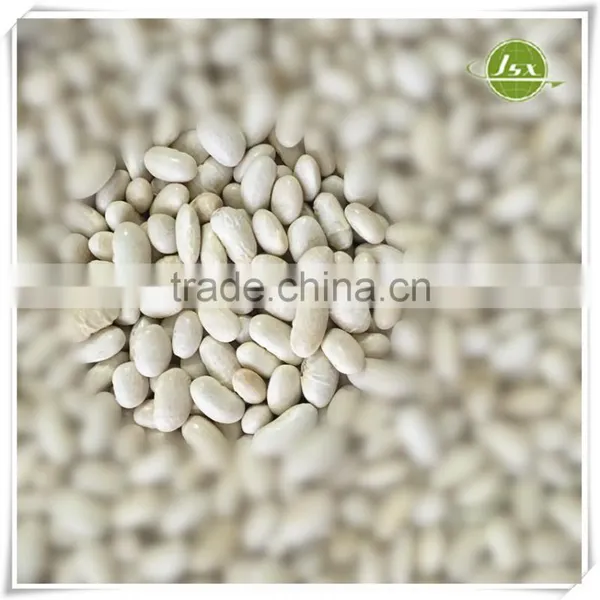 JSX Long Shape White Kidney Beans Food Trade Export photo-6