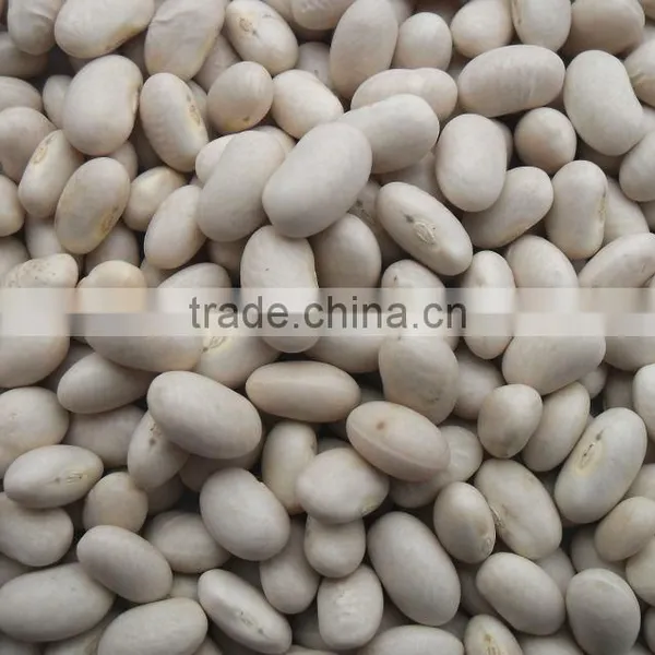 White Kidney Bean