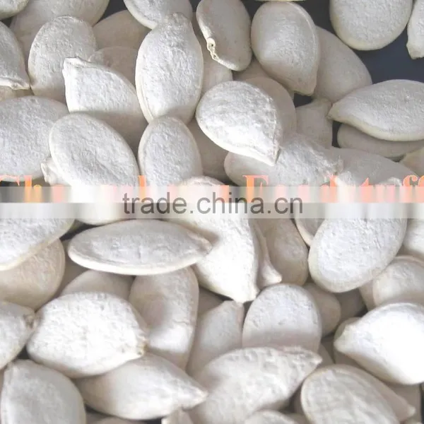 Roasted and Salted Snow White Pumpkin Seeds photo-4