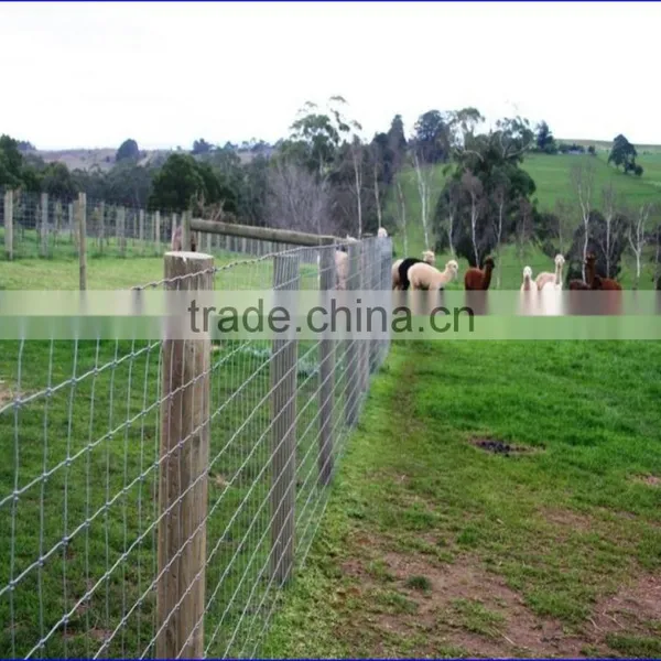 Barbed Wire Price per Roll photo-6