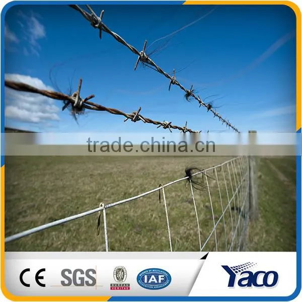 Beautiful Surface Treatment Galvanized Barbed Wire For Fencing photo-4