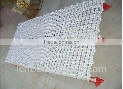 Chicken Plastic Floor photo-5