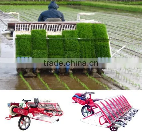 High Quality Agricultural Machine 8 Rows Kubota Rice Planter Made in China photo-2