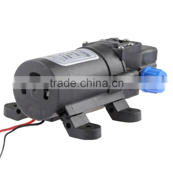 DC 12V/24V Reflux Valve or Auto High Pressure Switch Mini Garden Water Pump photo-3