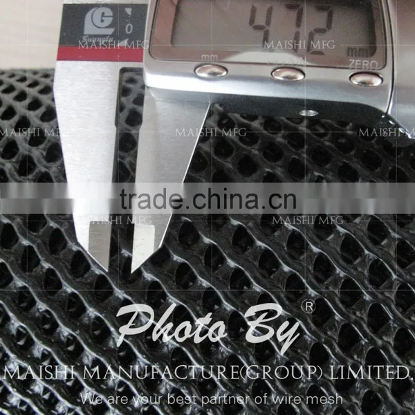 Protection Mesh photo-2