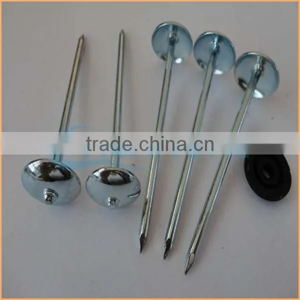 Top Quality Roofing Nails/clout Nails Trusted Chuanghe Suppliers From Com photo-5