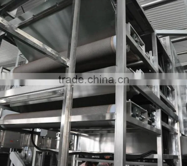 Blueberry Multiple Layer Continuous Type Mesh Belt Dryer photo-4