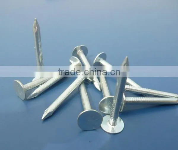 Roofing Nail Clout Nails Felt Roofing Nail photo-3