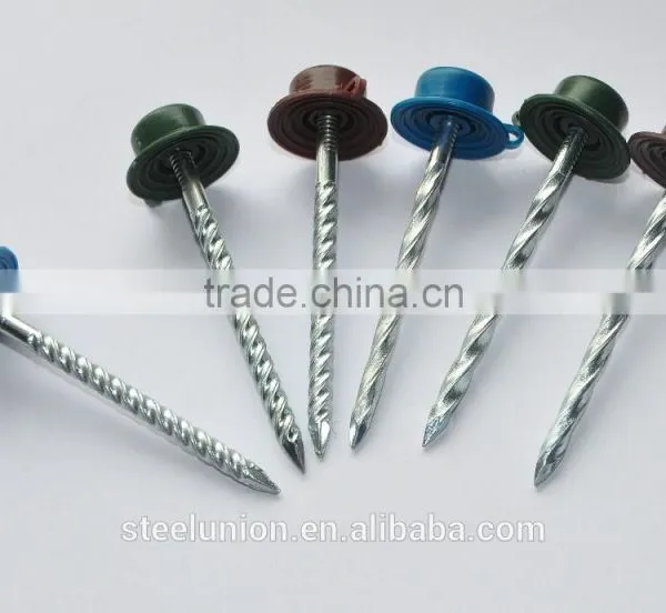 Roofing Nails With Plastic Cap photo-2
