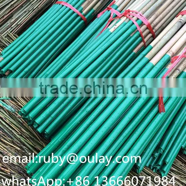 Plastic Coated Natural Garden Bamboo Canes photo-2