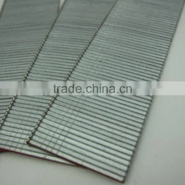 F19 Staple photo-2