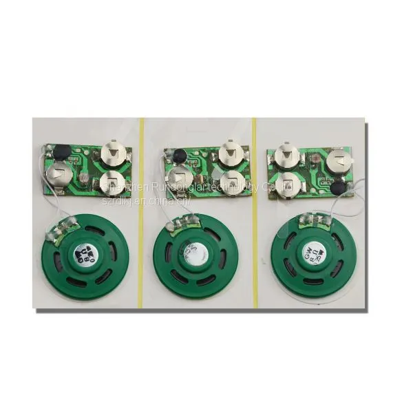 Customize Sound Chip for Greeting Card