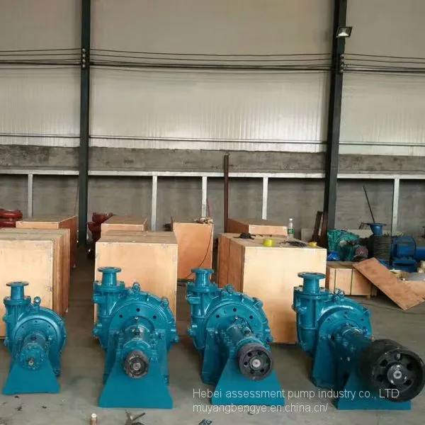The Assessment Pump Industry Like 80 ZGB Tail Slag Pulp Pump Mud Pump Sewage Pump photo-5