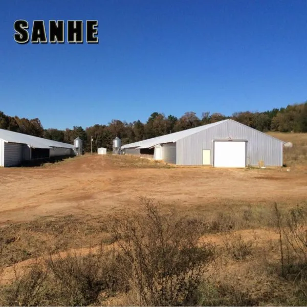 Steel Structure Farm Building Chicken House Broiler Layer Poultry House photo-5
