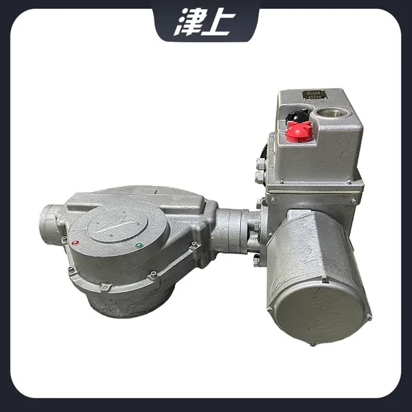 Bernard Electronic Electric Actuator B+RS600/F105Z Intelligent Partial Rotary Electric Actuator photo-3