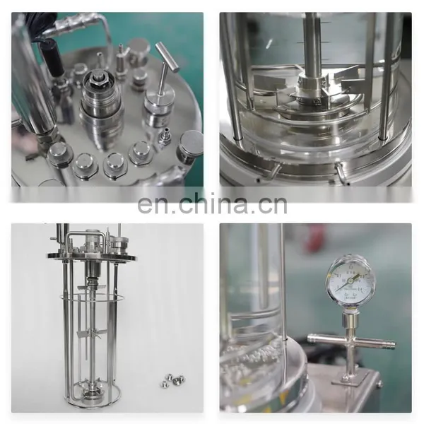 Manufacturer Price Laboratory Small Glass Basic Benchtop Bench Top Fermentor Fermentation Fermenter Bacterial Bioreactor photo-3