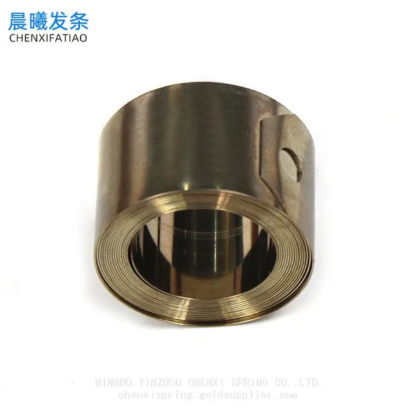 Stainless Steel Constant Force Spring Stainless Steel Spring photo-4