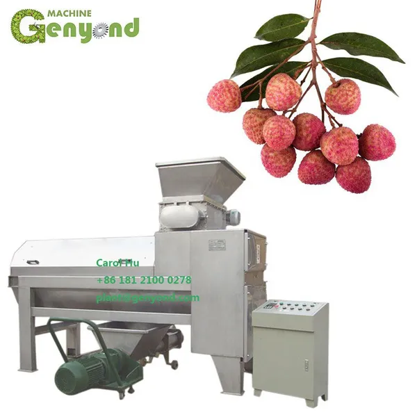 Lichi Lichee Leechee Litchi Lychee Peeling Seed Removing Machine photo-3
