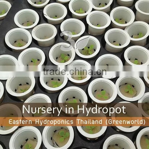 Growing Pot photo-2