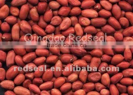 First Quality Red Skin Peanut Kernels