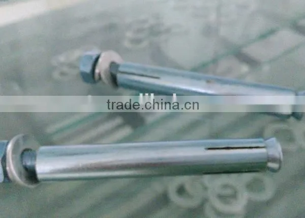 Hebei Saite Fasteners, Anchor Factory Manufacture Price , Wedge Anchor, Drop in Anchor, Sleeve Anchor, Eye&Hook Anchor. M16x110 photo-3