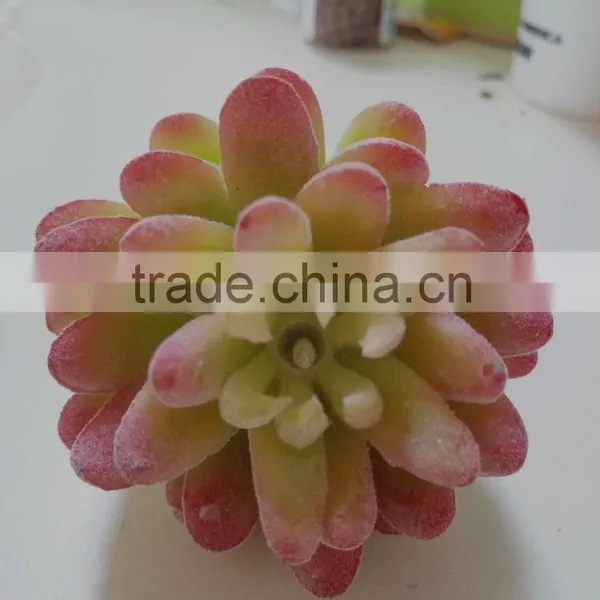 HOT Colored Fake Succulet Plants Succulent Plants for Wholesale photo-3