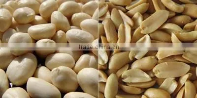 Best Selling High Praised Best Selling Peanut Roasting Blanching Line photo-5