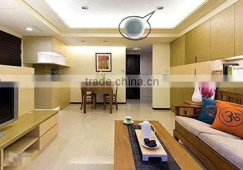 Wireless Ceiling Speakers photo-4