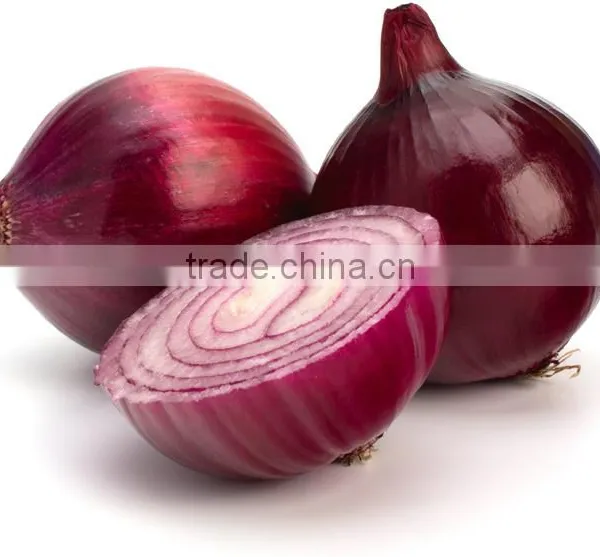 Hot Sale Fresh Red Onion With Good Quality for Sale photo-4