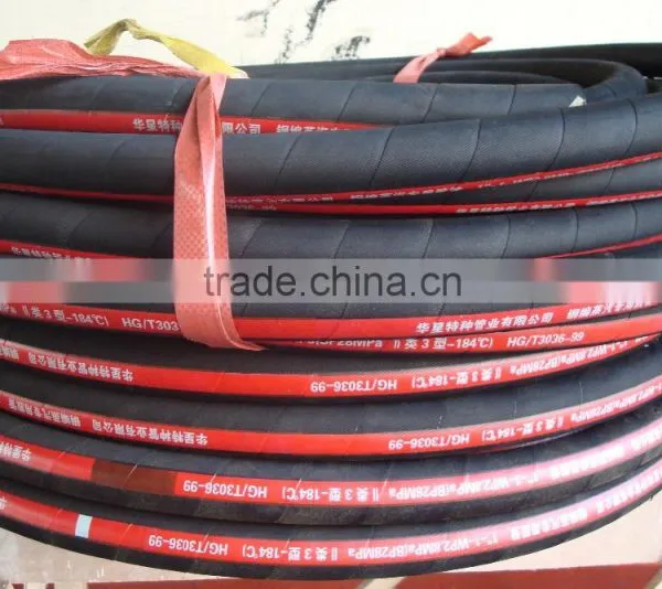 Steam Hose photo-2