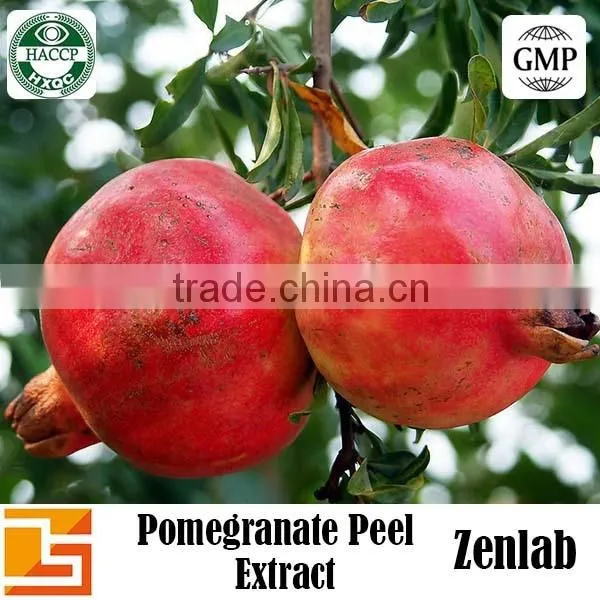 Punicalagins Pomegranate Extract for 40% Punicalagins Extract photo-4