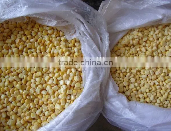 Non-GMO IQF Sweet Corn Kernels With HALAL or KOSHER Certificates photo-2