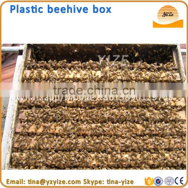 Plastic Hive , Beehive for Sale photo-2