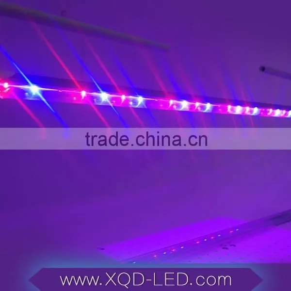 Agriculture Product t8 Led Tube Grow Light Plant Grow Lights 5-15watt Cob Led Grow Lights photo-2