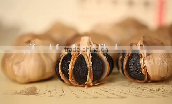 Black Garlic Fresh Garlic