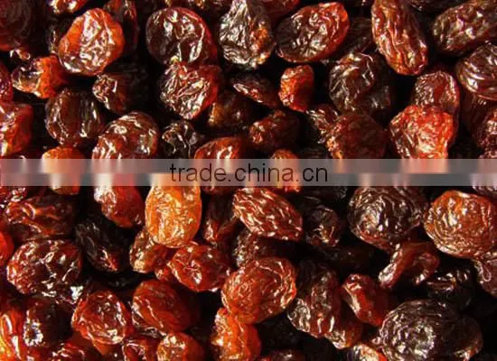 INDIAN MALAYAR RAISIN BEST RATE photo-6