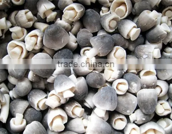 IQF STRAW MUSHROOMS
