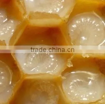 Halal Baby Food Names Manufacturer Honey Pollen Royal Jelly Pollen Health Food Mix ... photo-3