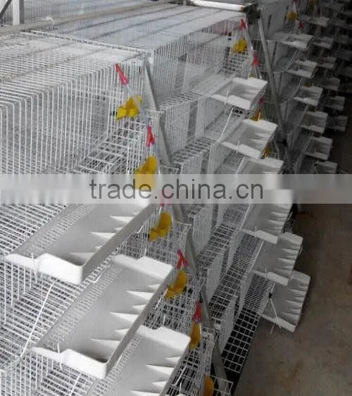 6 Tires 400 Automatic Quails Cage One Side/6 Tiers Two Sides 800 Quails Cages photo-3