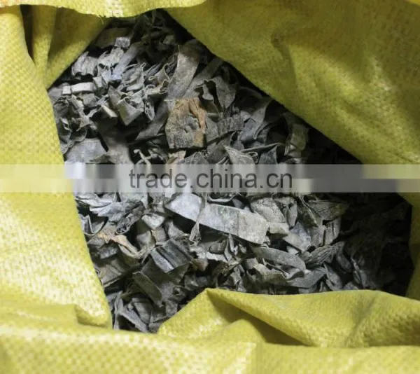 Wholesale Price Abalone Feed Dried Seaweed Sheet|kelp|laminaria Japonica Cut photo-2