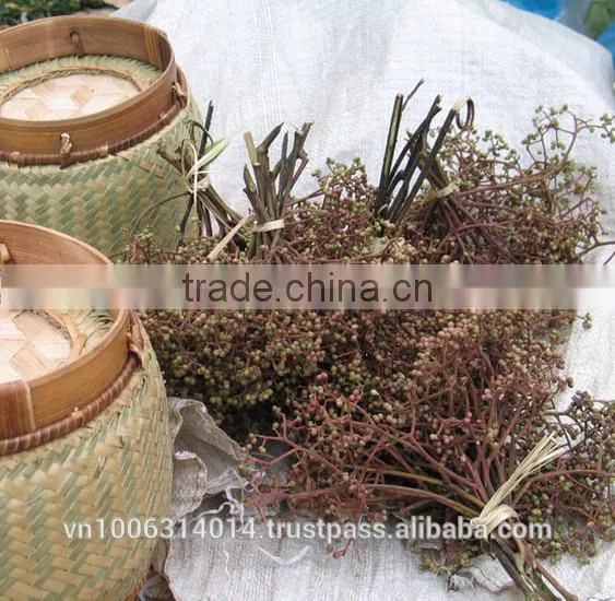 Zanthoxylum Rhetsa/Mac Khen photo-3