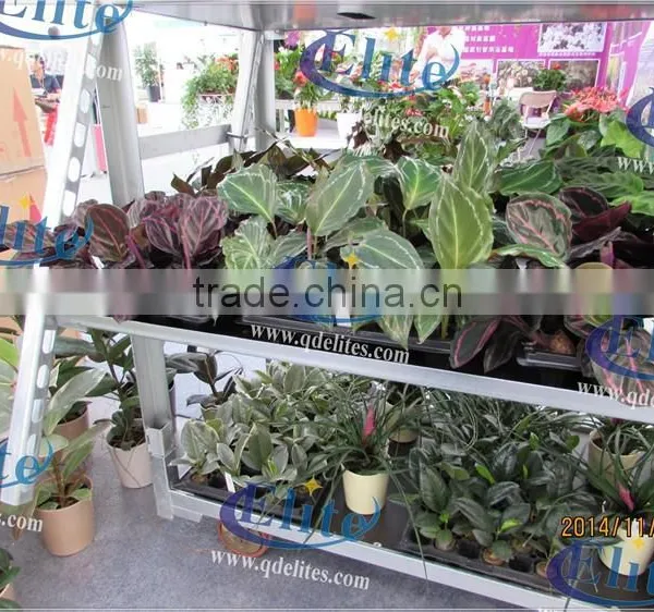 A56 Flower Pot Garden Center Display Show Frames photo-6